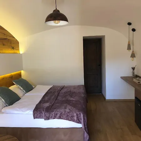 Hotell Dvur Pecinov 4*