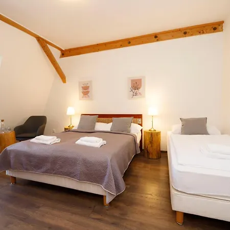 Отель Dvur Pecinov 4*
