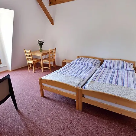 Dvůr Pecínov Hotel 4*