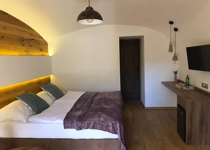 Hotel Dvur Pecinov 4*