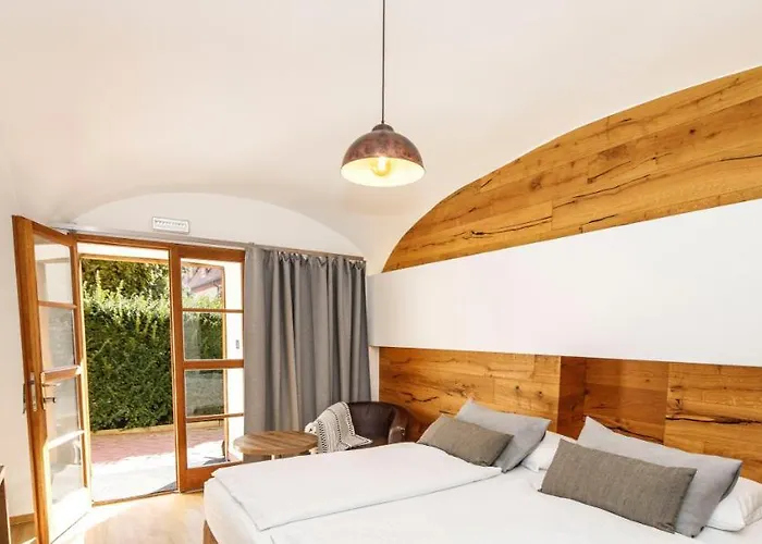 Dvur Pecinov Hotel 4*