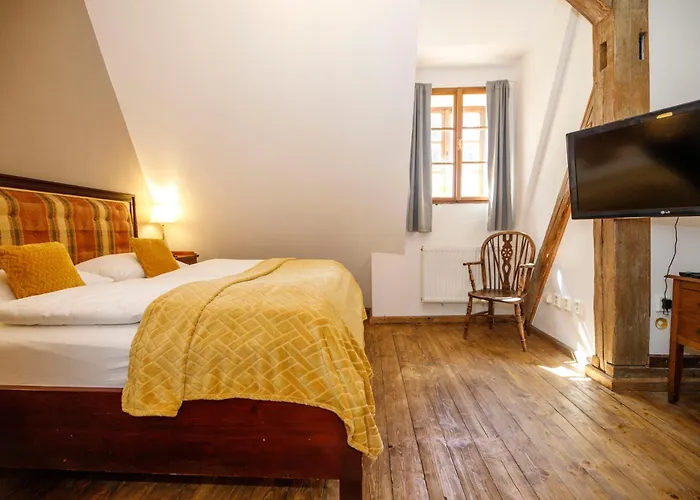 Hotel Dvur Pecinov 4*