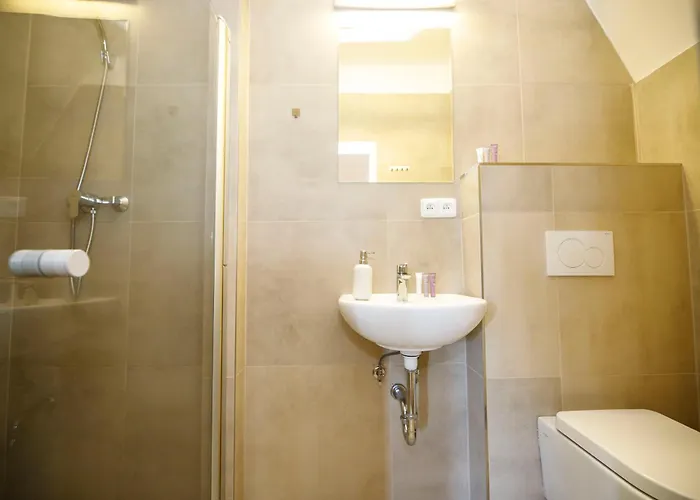 Hotel Dvur Pecinov 4*