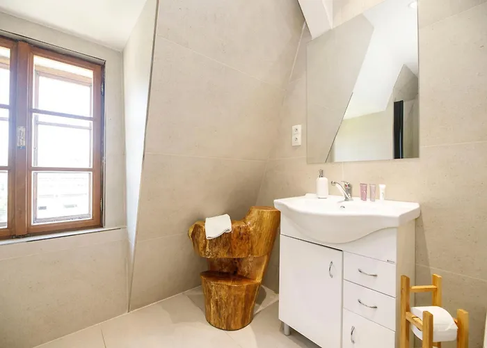 Hotel Dvur Pecinov 4*