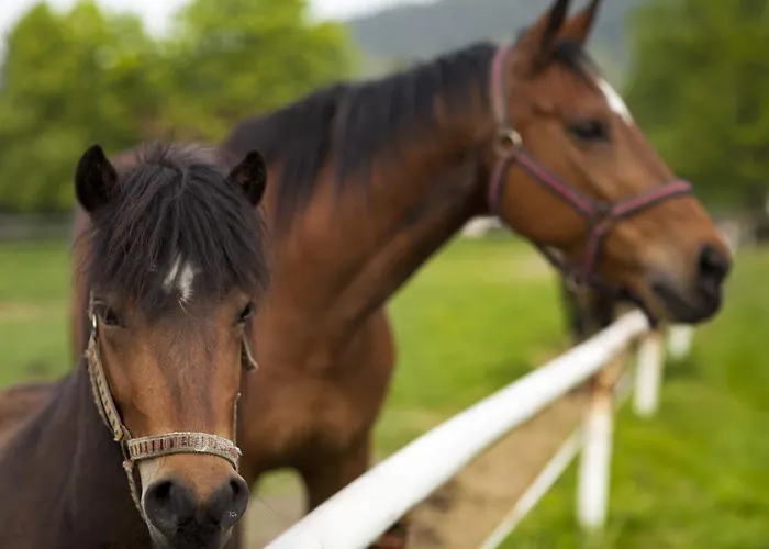 Dvur Pecinov Benesov (Central Bohemian)